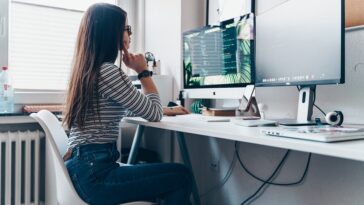 programador